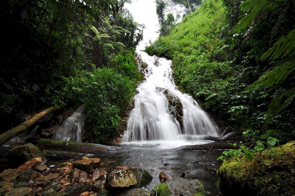 Sanctuary Gorilla Forest Camp Hotel Ntungamo  Екстериор снимка