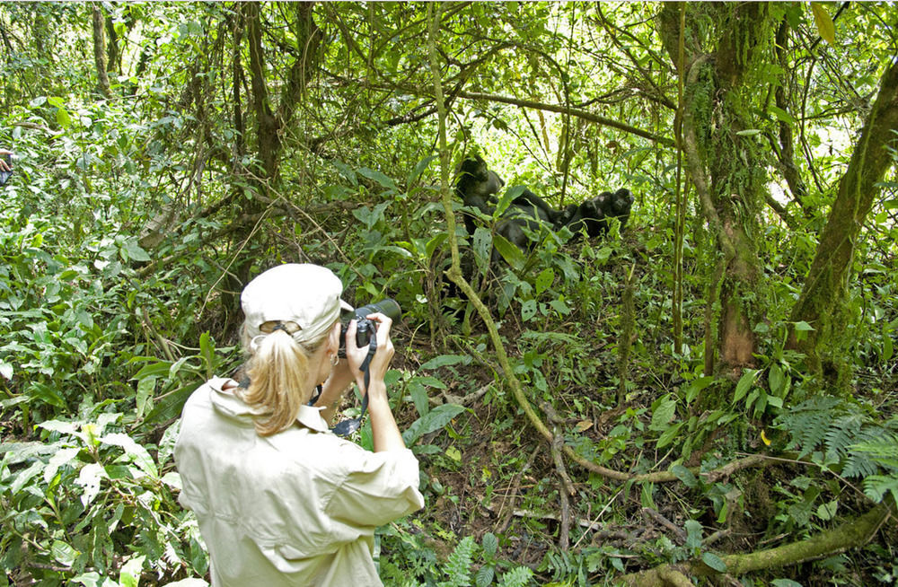 Sanctuary Gorilla Forest Camp Hotel Ntungamo  Екстериор снимка